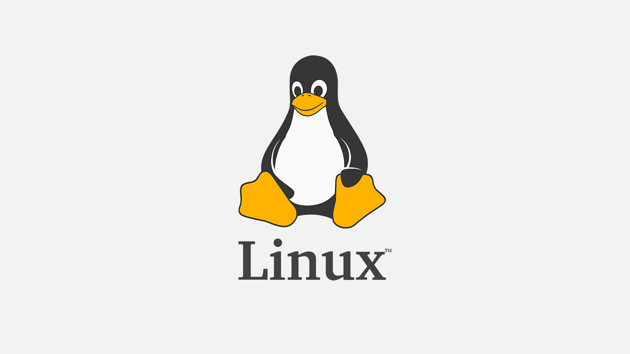 Linux en 2025 : Distributions idéales selon l'usage